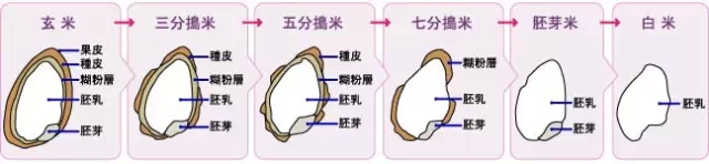 新澳门2024开门奖