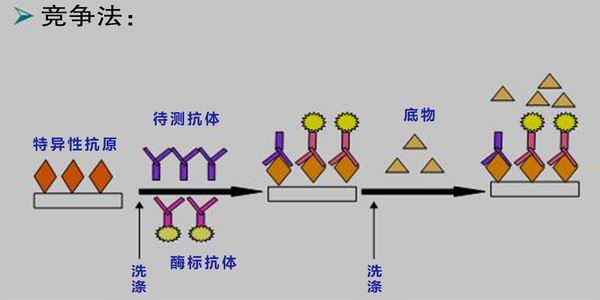 新澳门2024开门奖