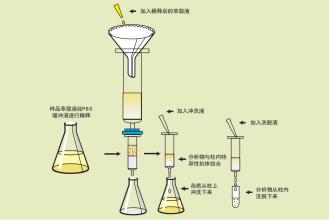 新澳门2024开门奖